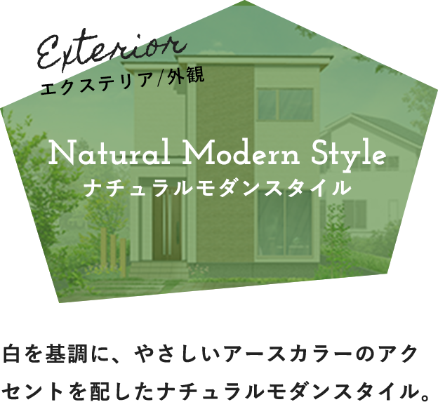 Natural Modern Style